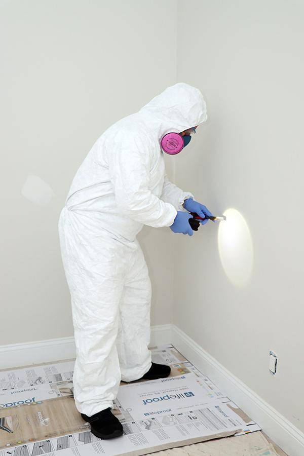 Asbestos inspection services
