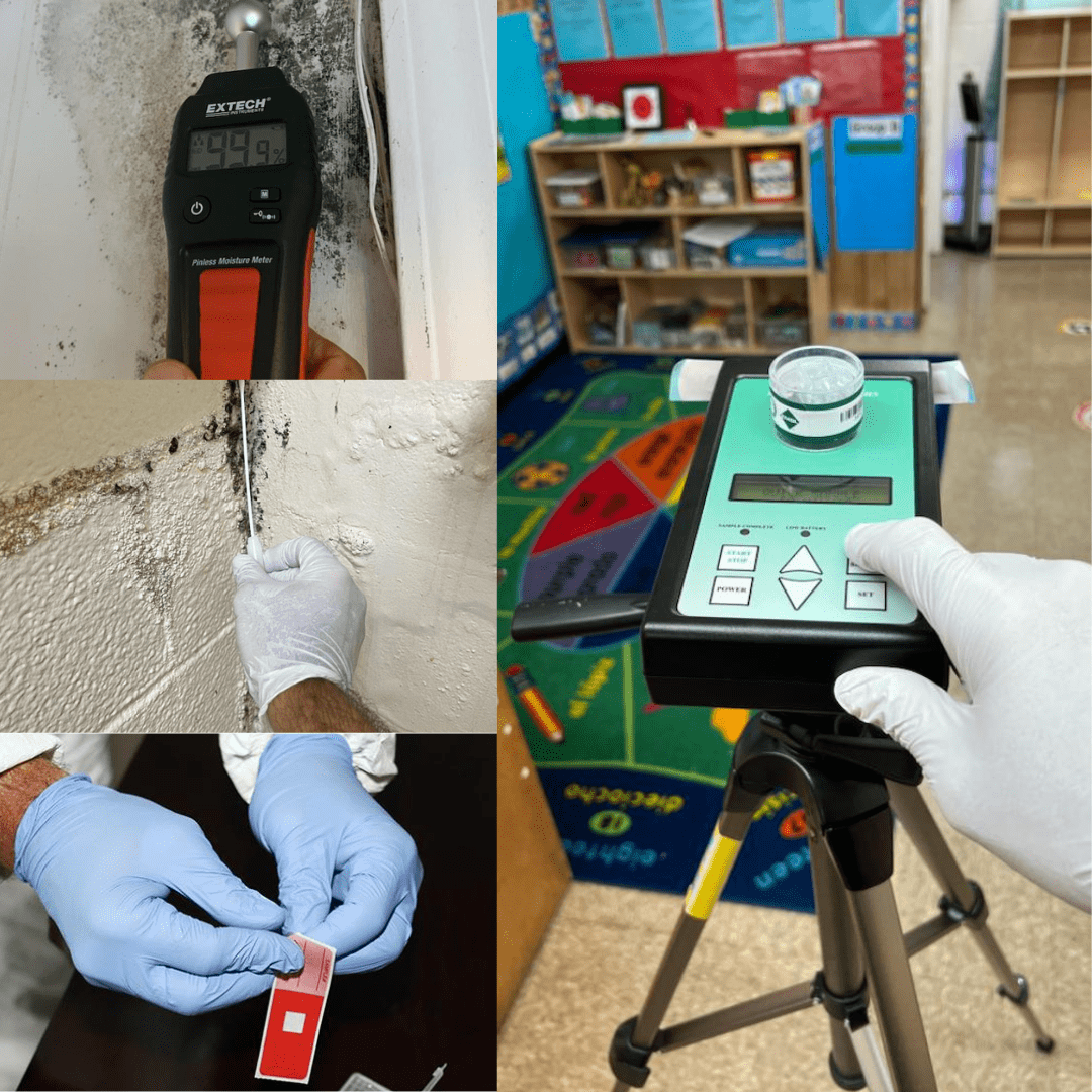Mold Testing and Inspection services