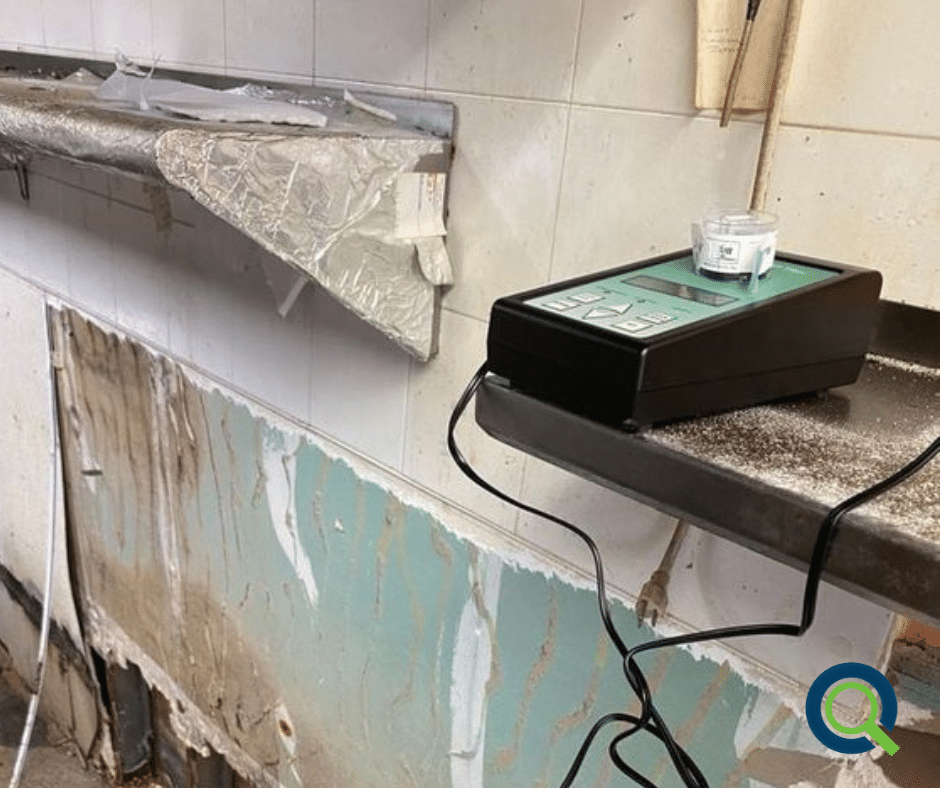 Climate Change Affects Mold Growth