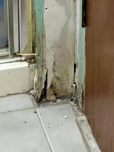 Mold Myths Busted: Separating Fact from Fiction