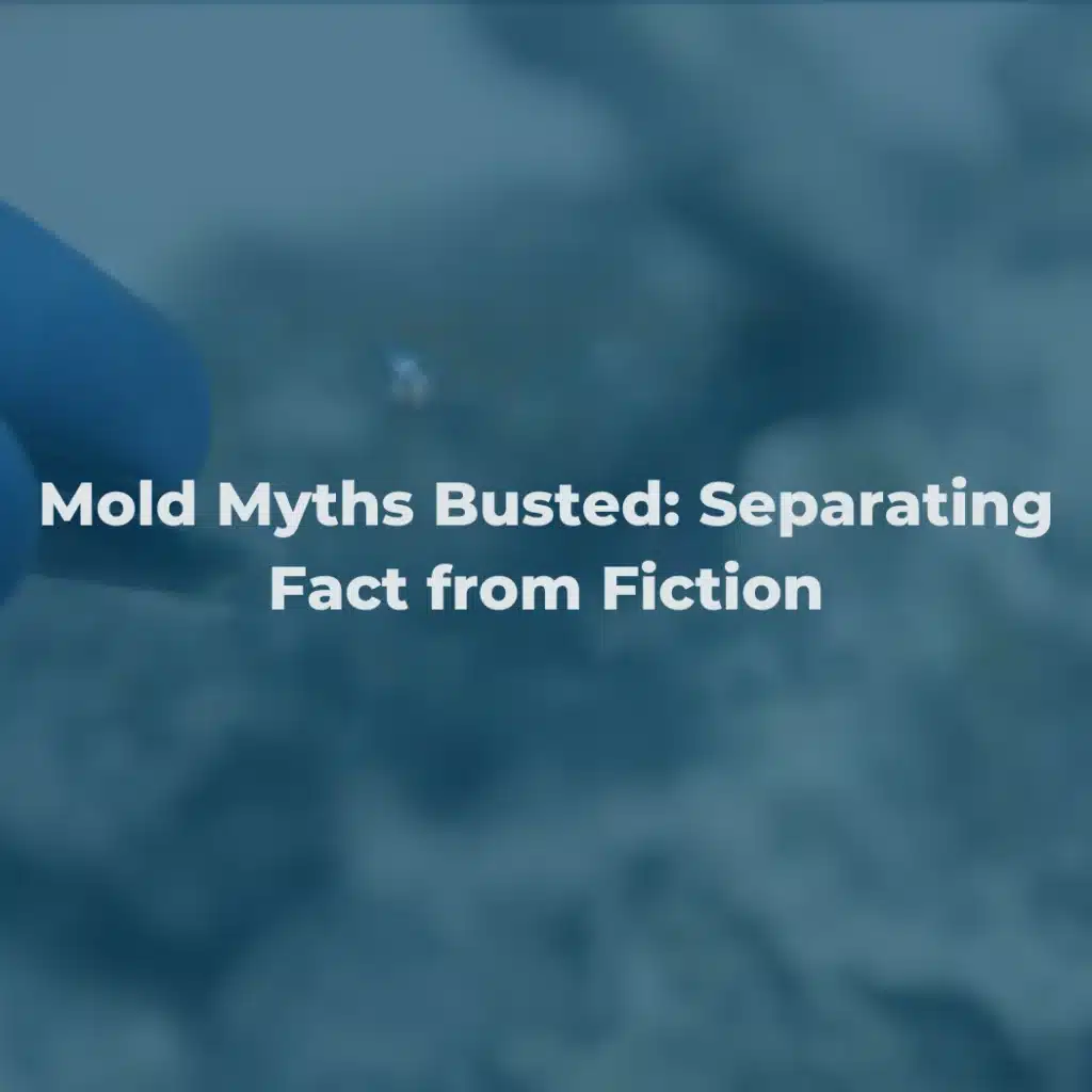 Mold Myths