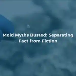 Mold Myths Busted: Separating Fact from Fiction