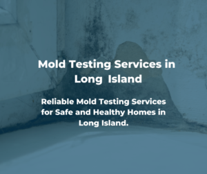 Trustworthy Mold Testing in Long Island