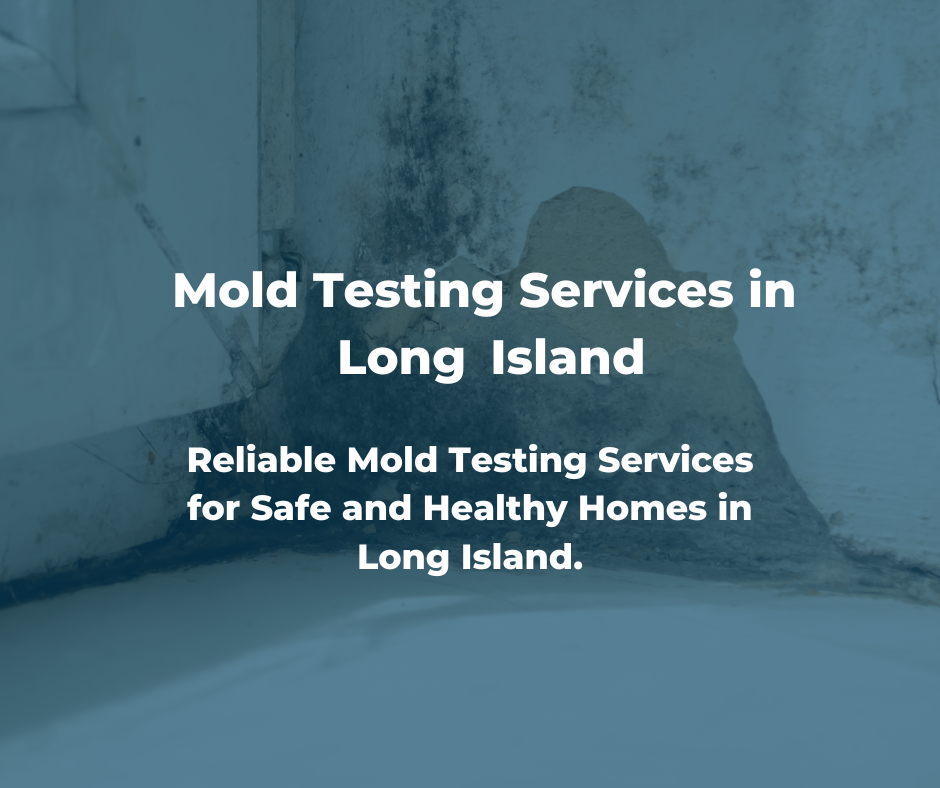 Mold Testing in Long Island