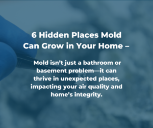 Hidden Mold Spots in Your House: 6 Places to Check