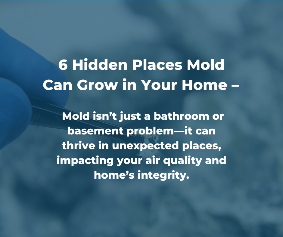 Hidden MoldSpots in Your House