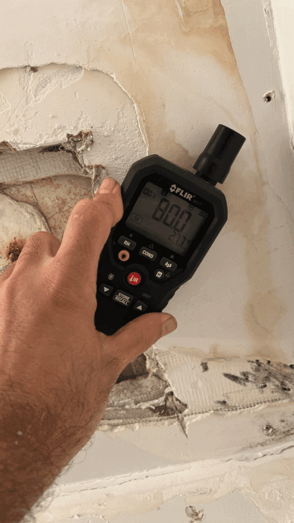 Painting Over Mold- A Dangerous Cover-Up That Puts Lives in Danger