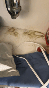 Water Damage From Appliances and How It Causes Mold