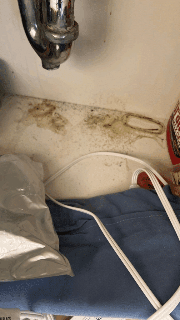 Water Damage From Appliances and How It Causes Mold