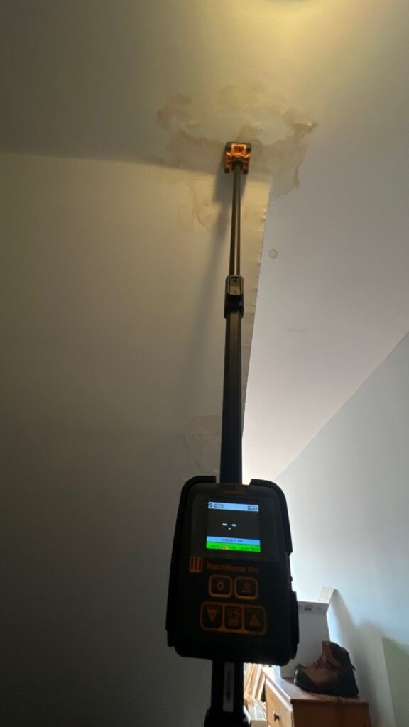 Three Types of Fungal Ecology