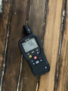 Mold Allergy vs. Penicillin Allergy