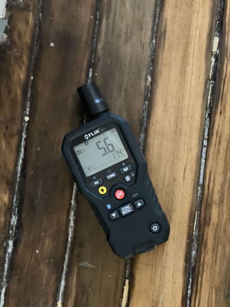 Mold Allergy vs. Penicillin Allergy