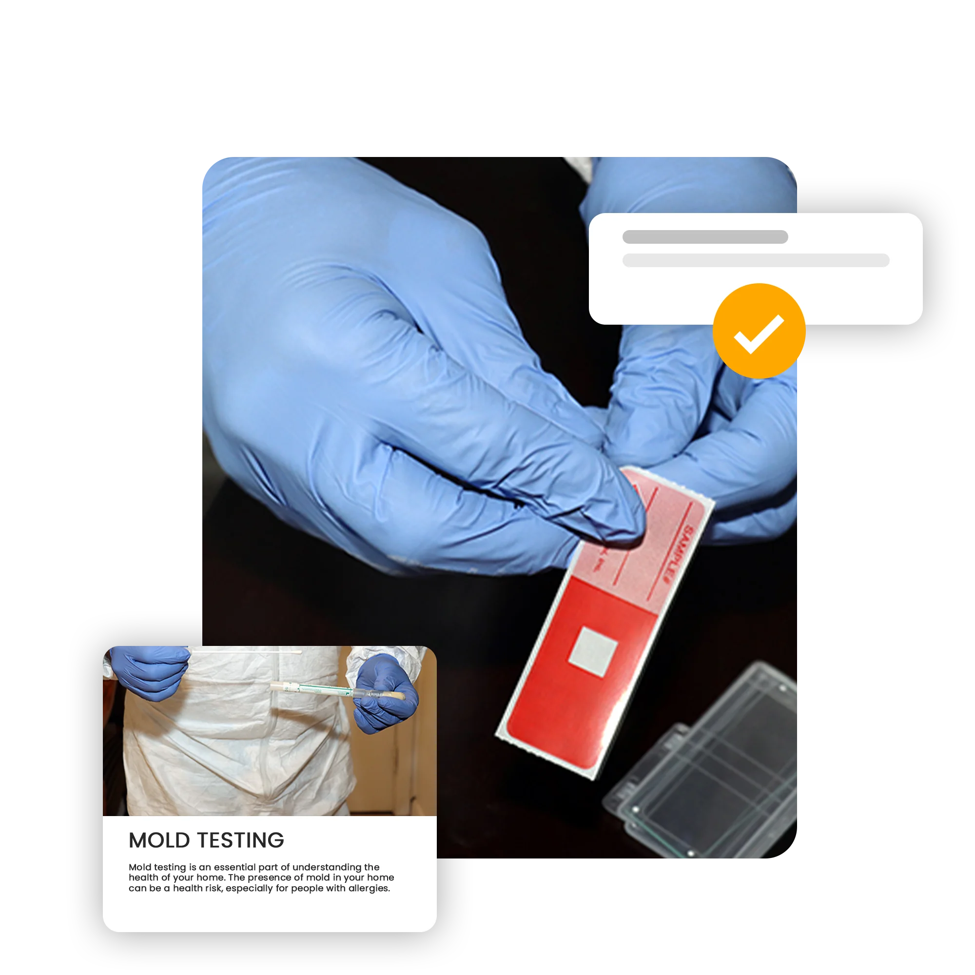 Black Mold Testing Long Island