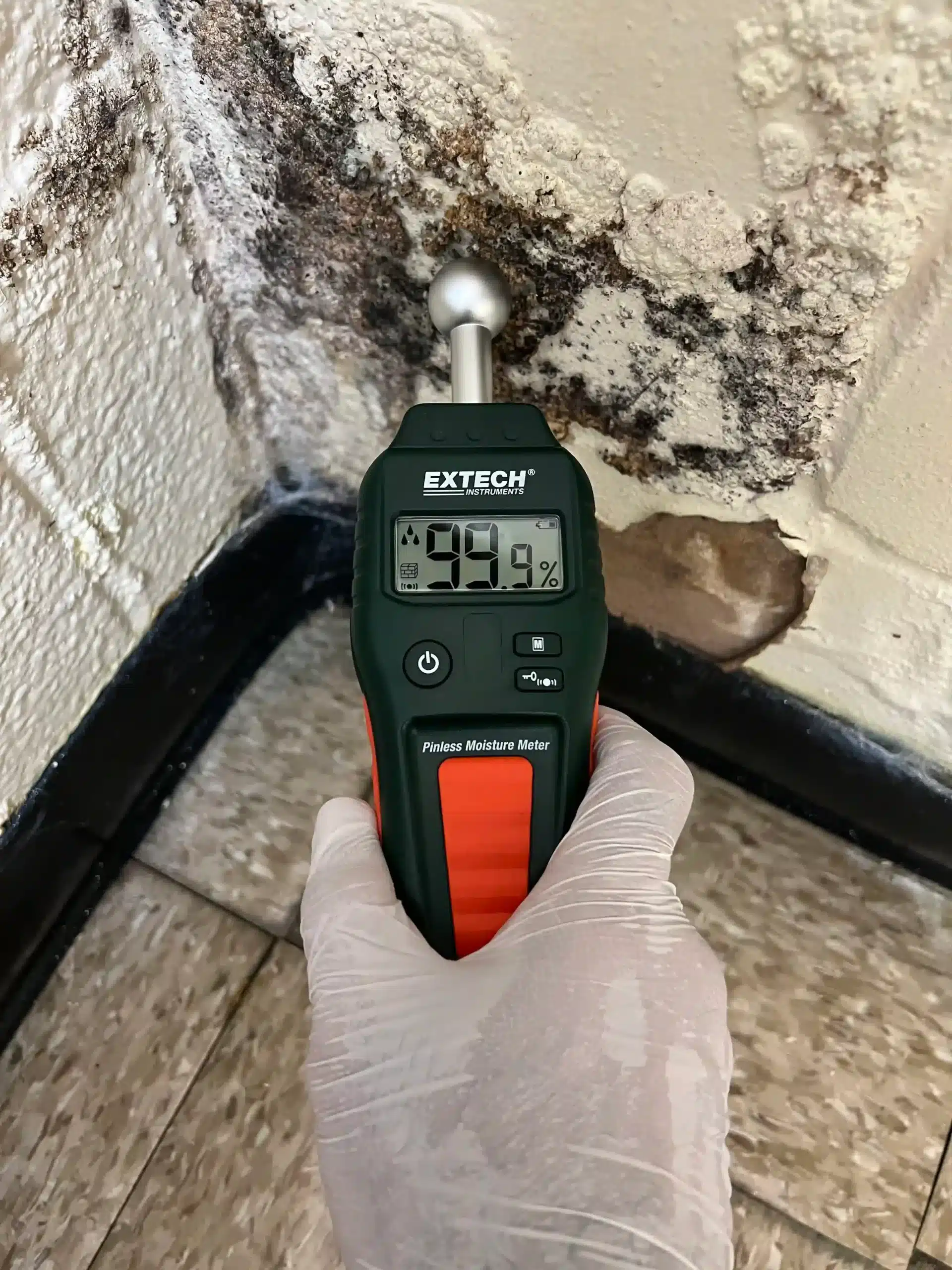 mold inspectors long island
