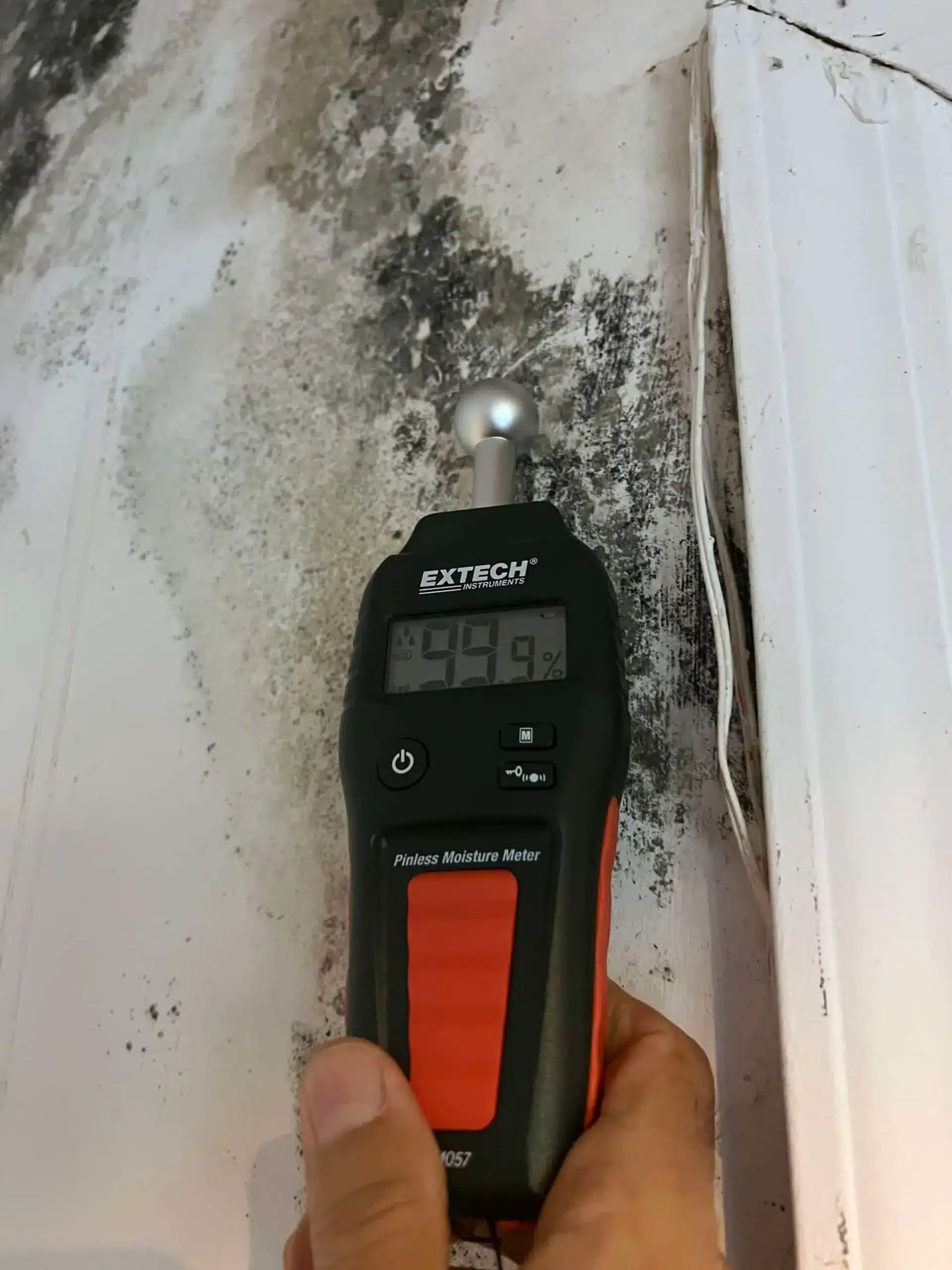 Moisture Detection Long Island