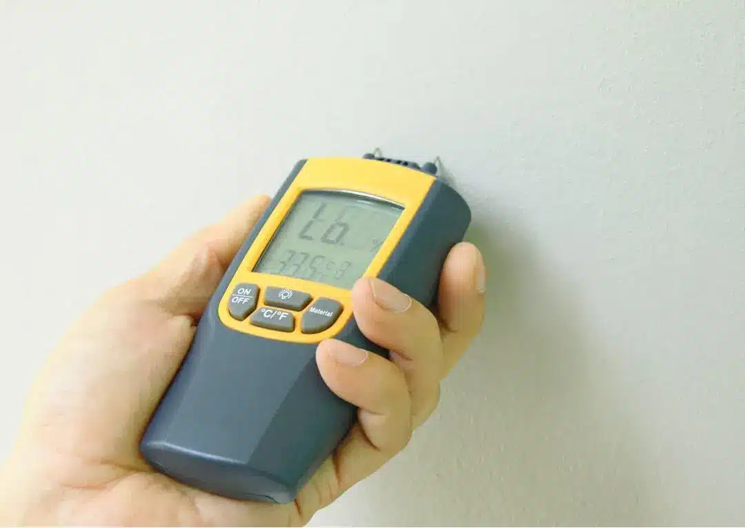 Moisture and Lead Detection Services Long Island