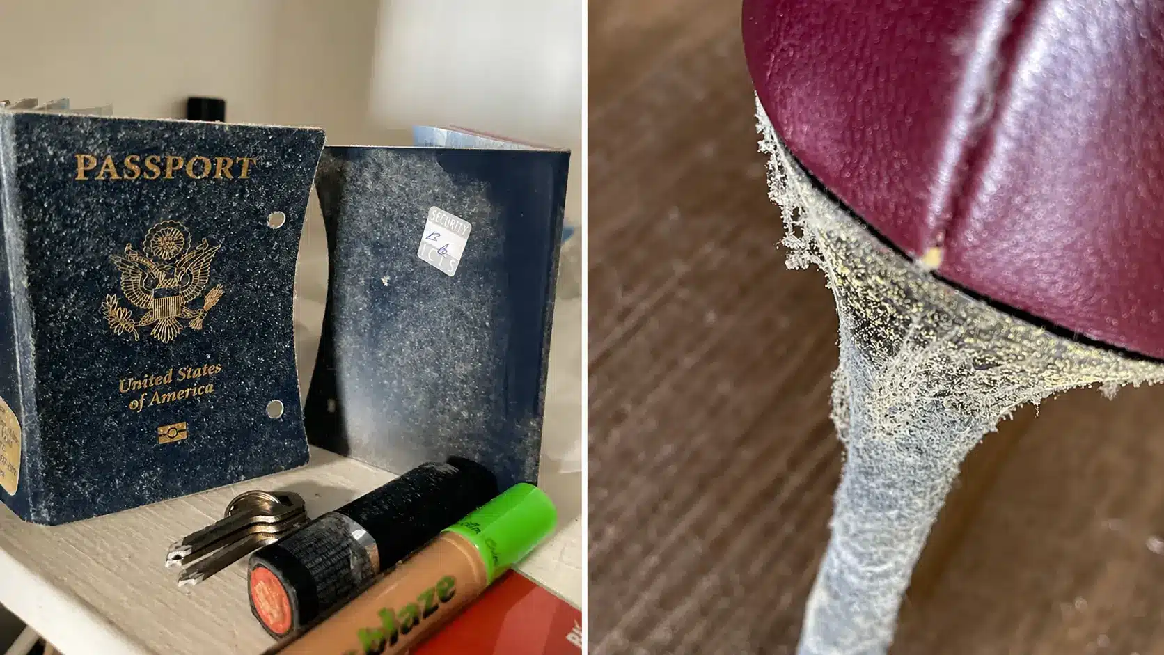 Mold Exposure and Allergies