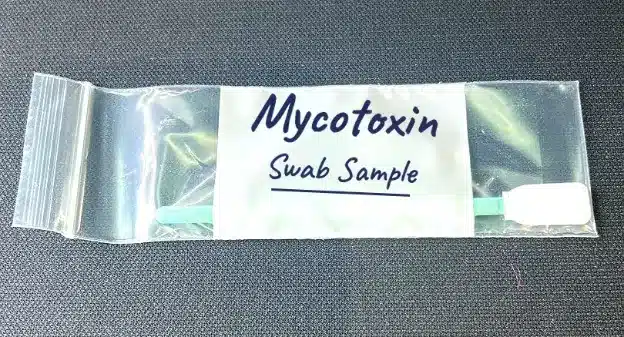 Mycotoxin Testing