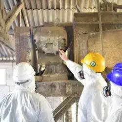 Asbestos+Inspection+Durham